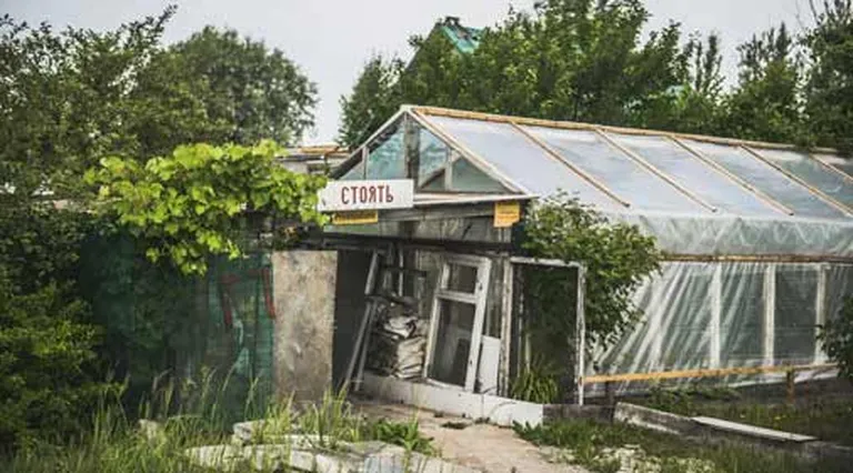 Raksta foto
