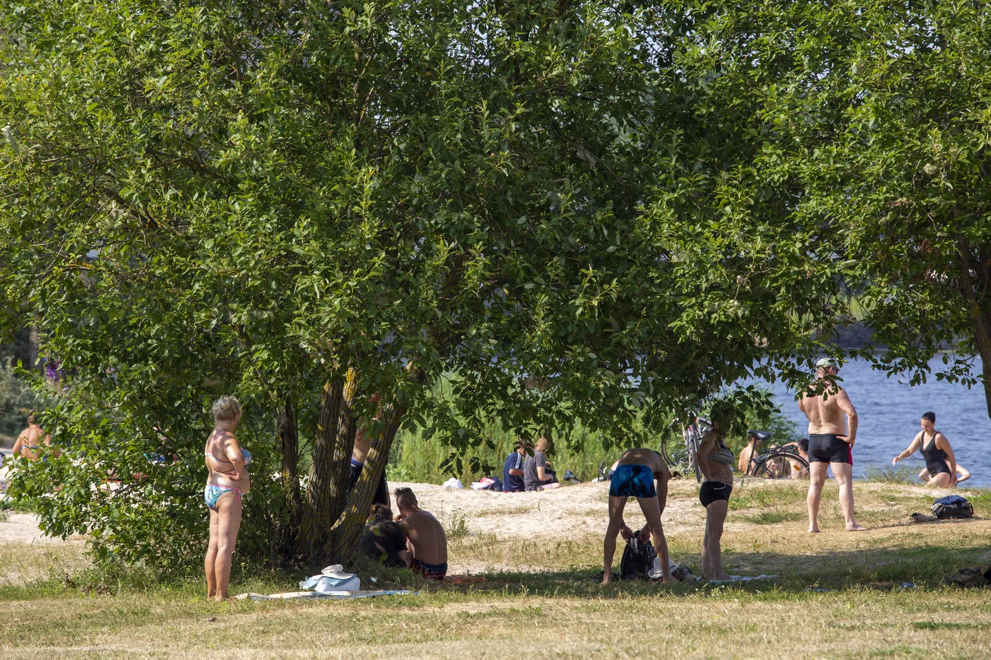 Raksta foto
