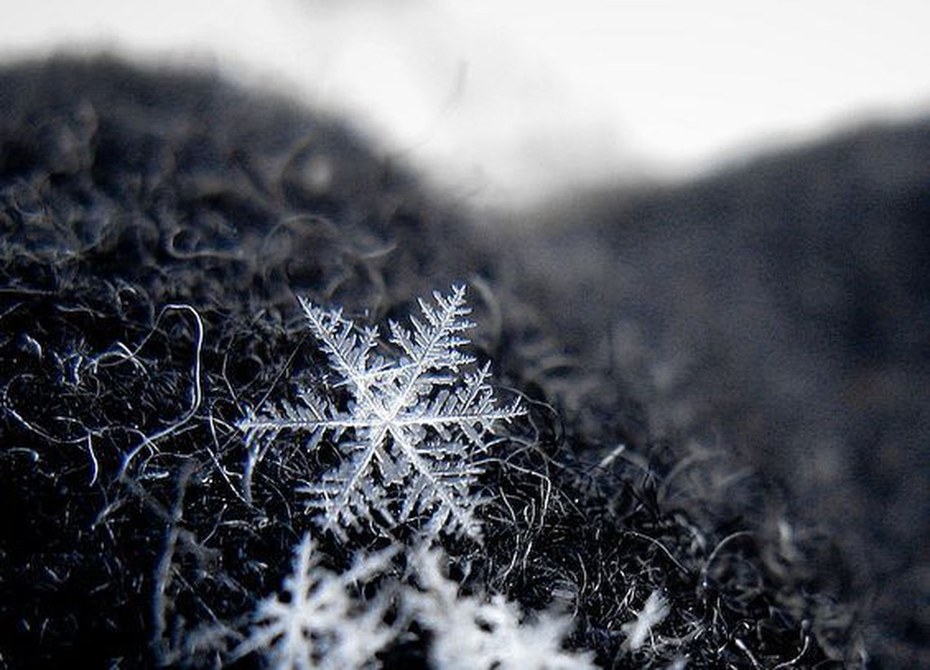 Lumehelvestest saab detailsed fotod ka amatöörkaameraga