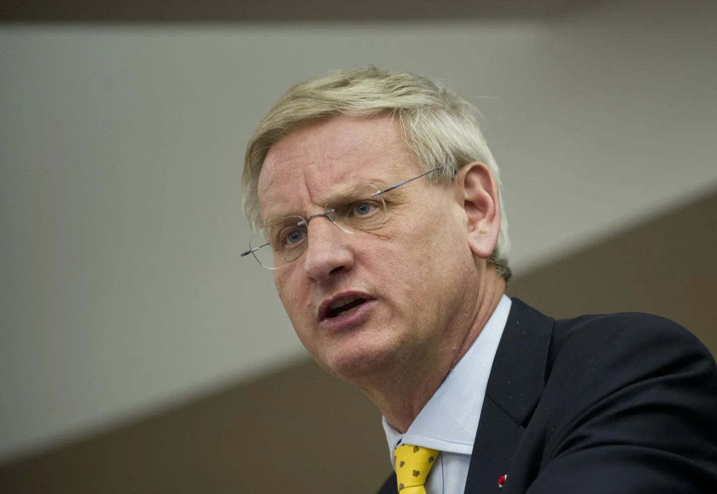 Rootsi välisminister Carl Bildt