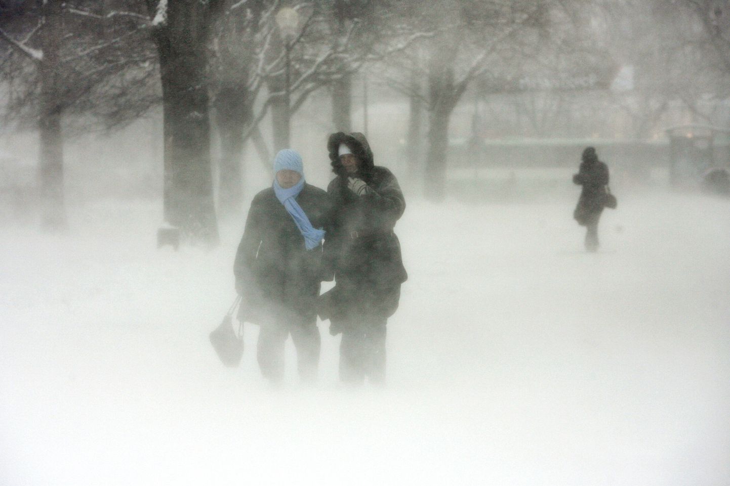 Lumetorm Tallinnas 2008. aastal