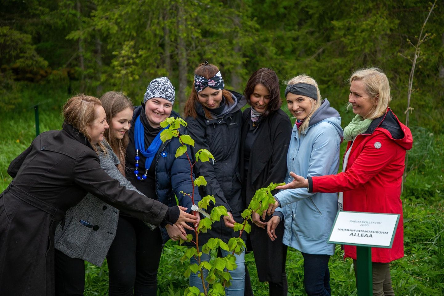 Järvamaa kultuuripreemia laureaadid istutasid hiide oma puud. Parima kollektiivi preemia omistati naisrahvatantsurühmale Alleaa.
