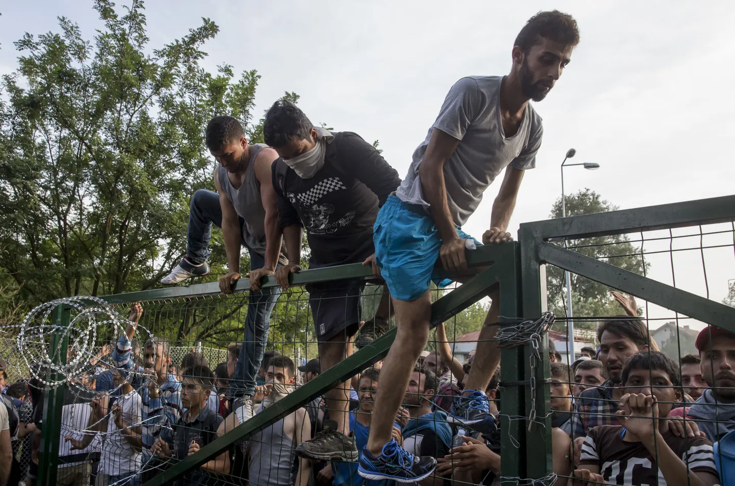 Беженцы пытаются попасть в Венгрию. Иллюстративное фото.