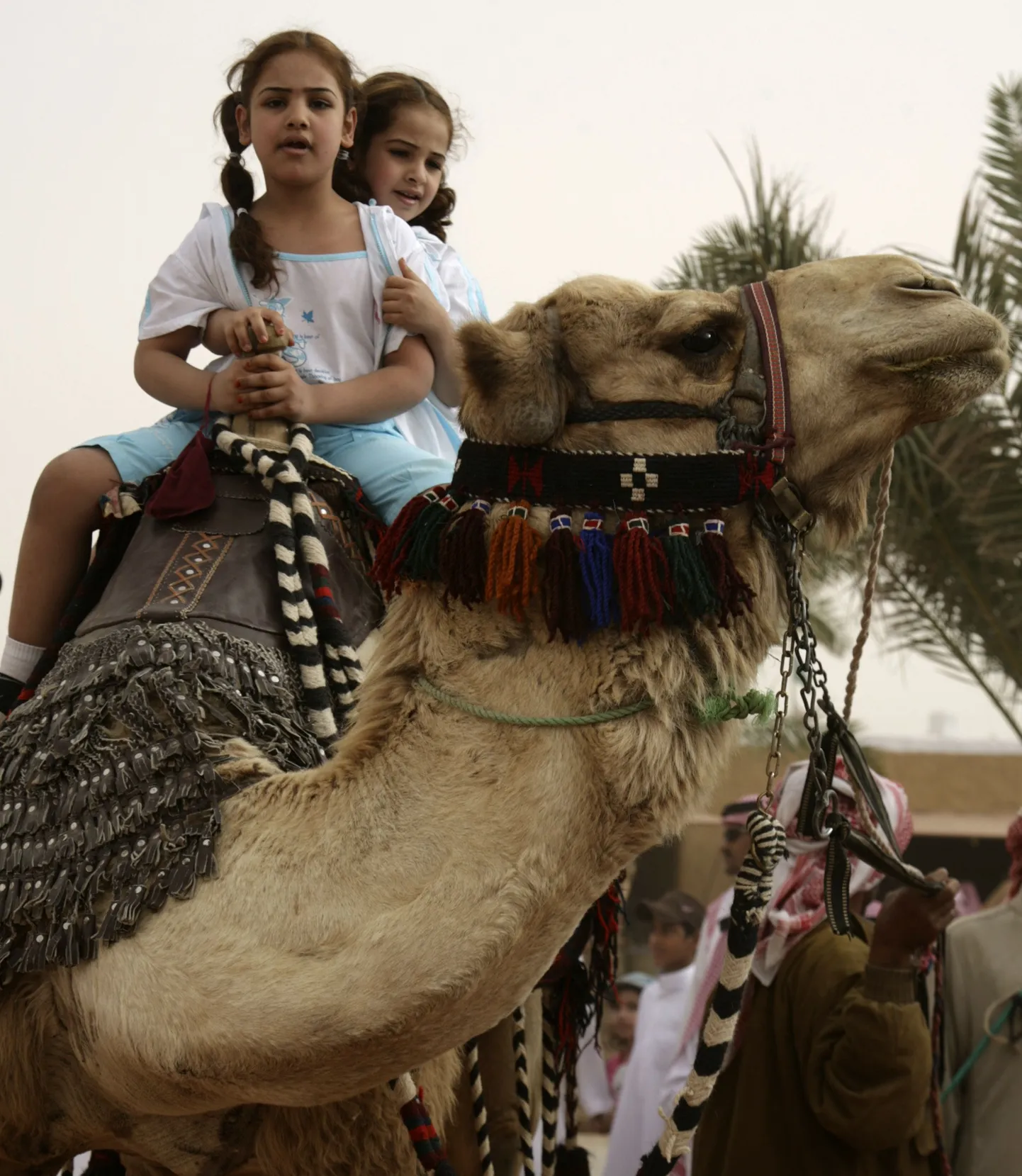 Saudi Araabia tüdrukud