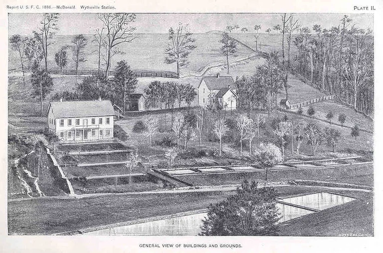 Vaitvilas dzelzceļa stacija 1886. gadā