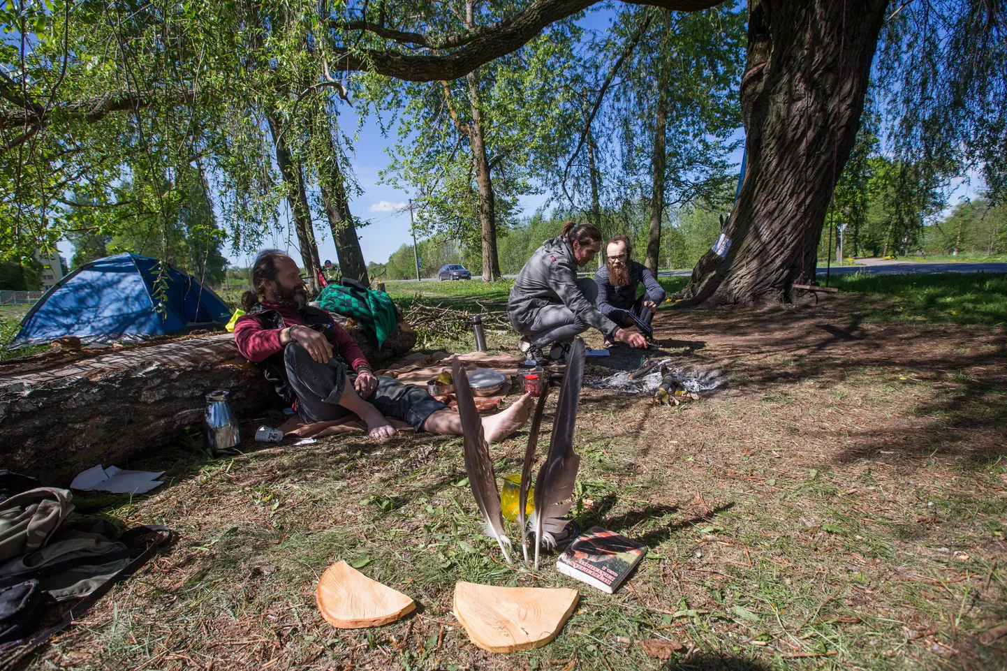 Aktivistid on hõberemmelga alla seadnud üles telgi, teevad seal lõket ja koguvad möödujatelt puu kaitseks allkirju. Nad lubavad jääda paigale nii kauaks, kui on vaja – kasvõi poole suveni.