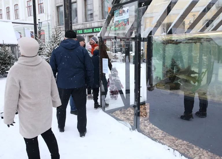 Valgusküla avapäeval oli uudistajaid akvaariumimaja ümber nagu murdu.