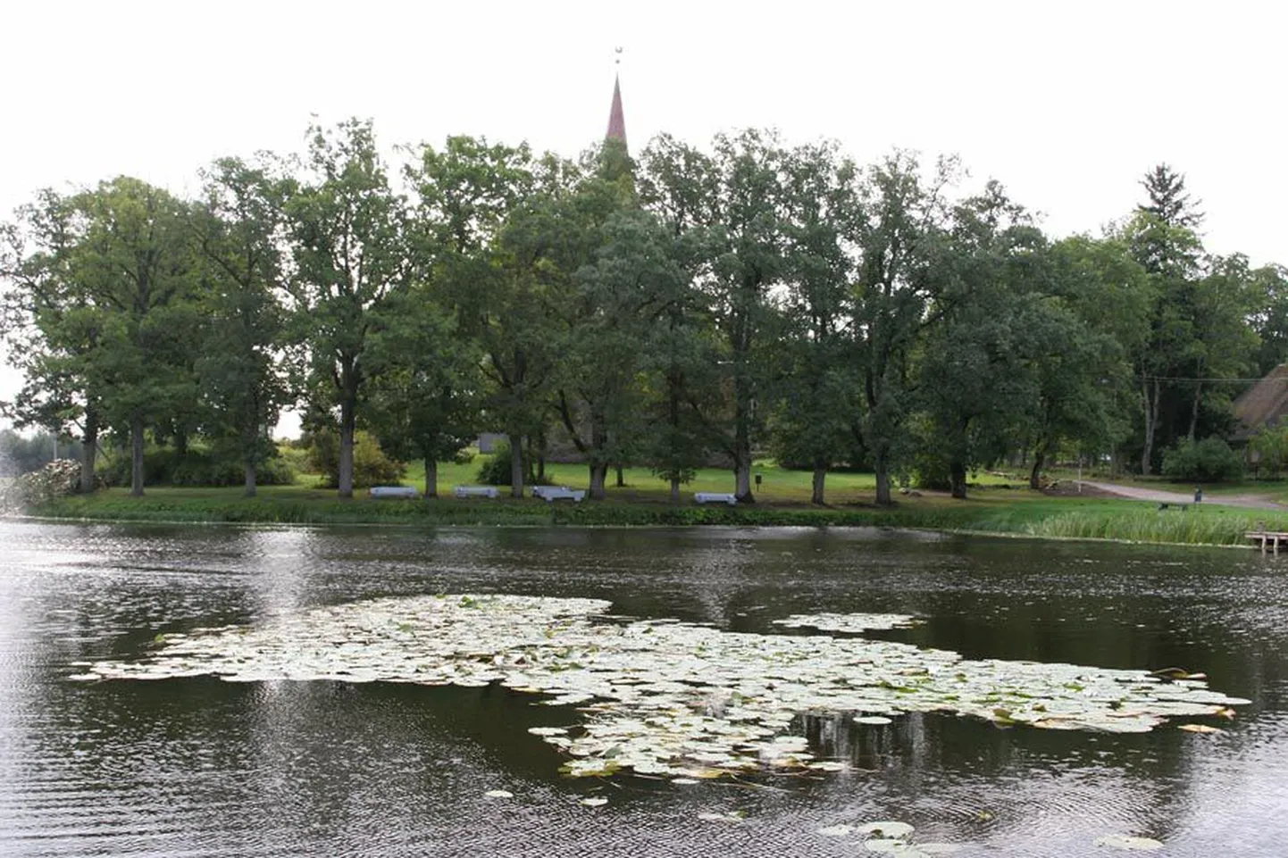 Sel nädalal võis Suure-Jaani rahvas jälgida paisjärvel askeldavat masinat.