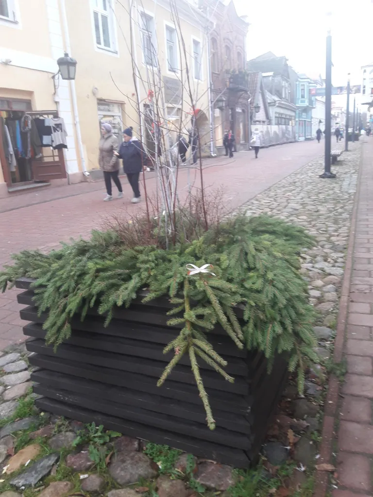 Rüütli tänavat kaunistavad sel aastal jõuluootuses kuuse- ja kontpuuokste kompositsioonid, mille külge on seotud valged ja punased lipsukesed.