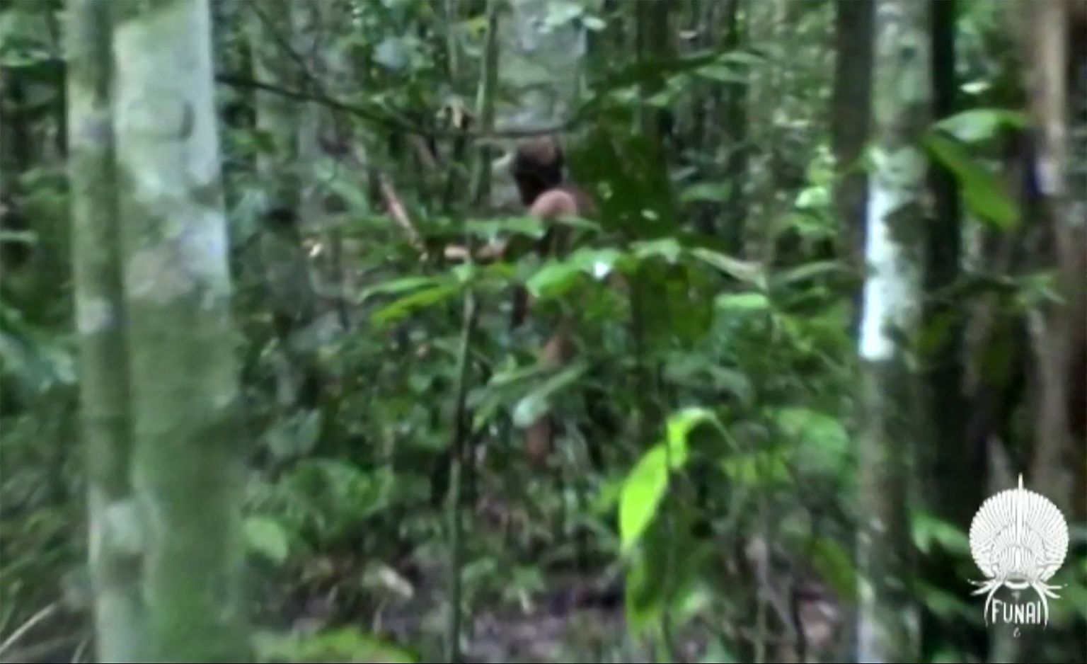 Brasiilias Amazonases elanud hõimu viimane liige jäi 2011 Brasiilia rahvusliku indiaanlaste fondi  /(FUNAI) esindajate videole. Meest jälgiti alates 1996. aastast