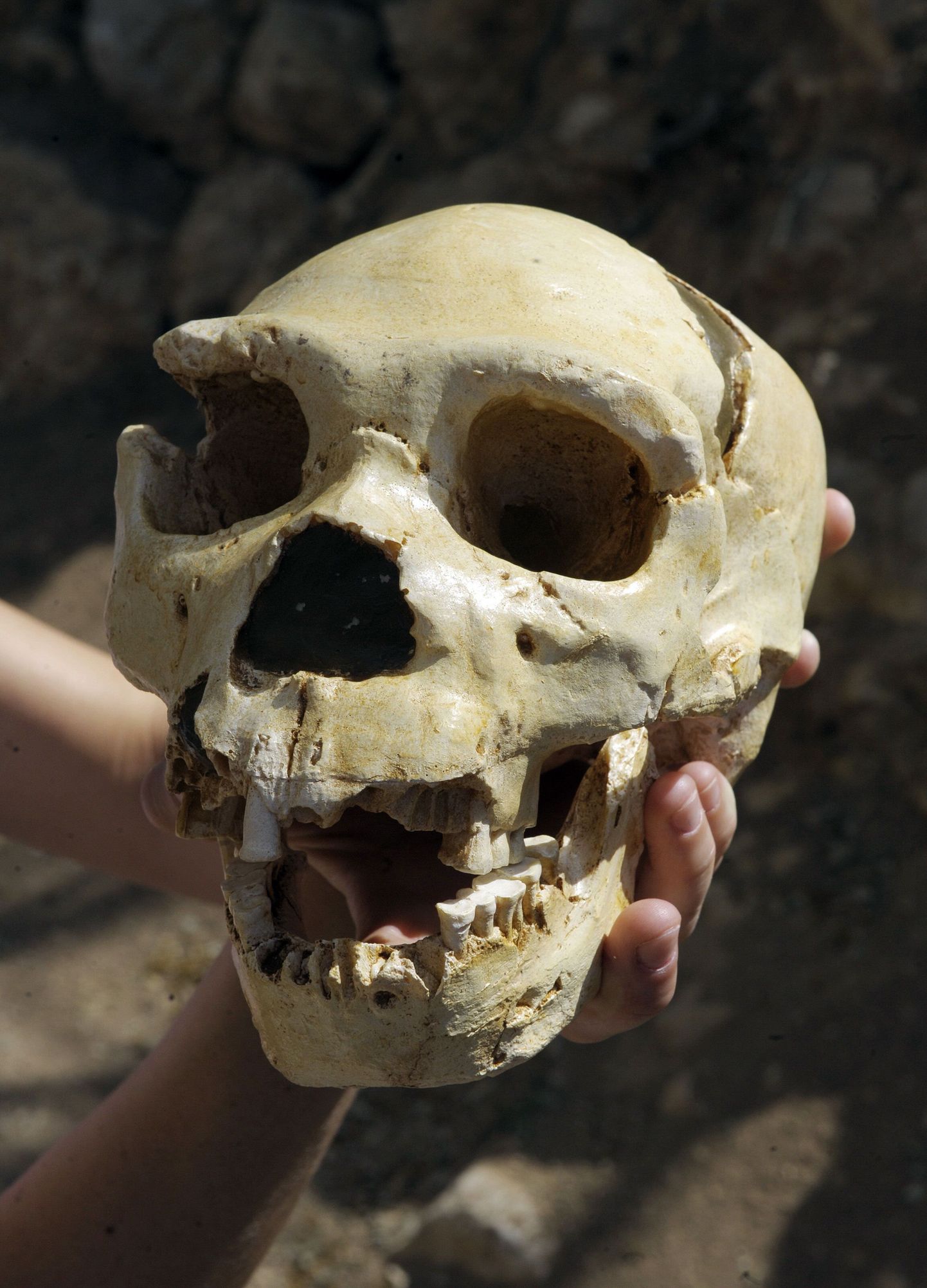 Lõuna-Hiinast leiti kiviajast pärit inimjäänuseid, mis võivad kuuluda senitundmatule inimliigile