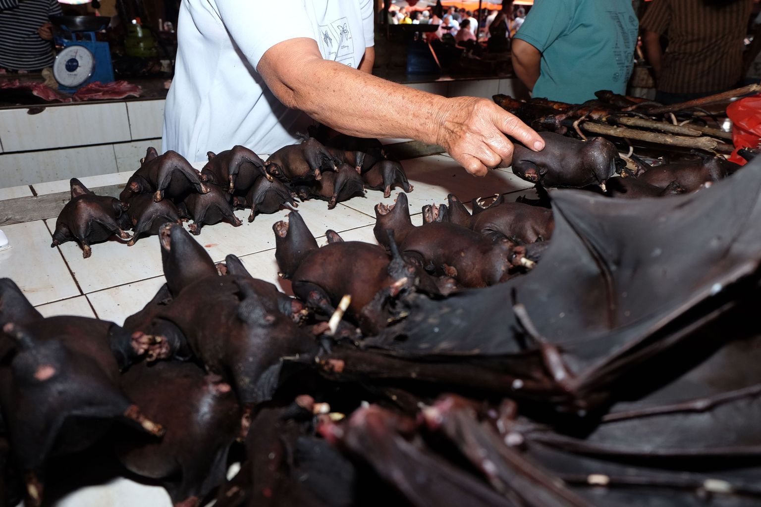 Grillitud nahkhiired Hiina ühel turul enne koroonaviiruse puhangut