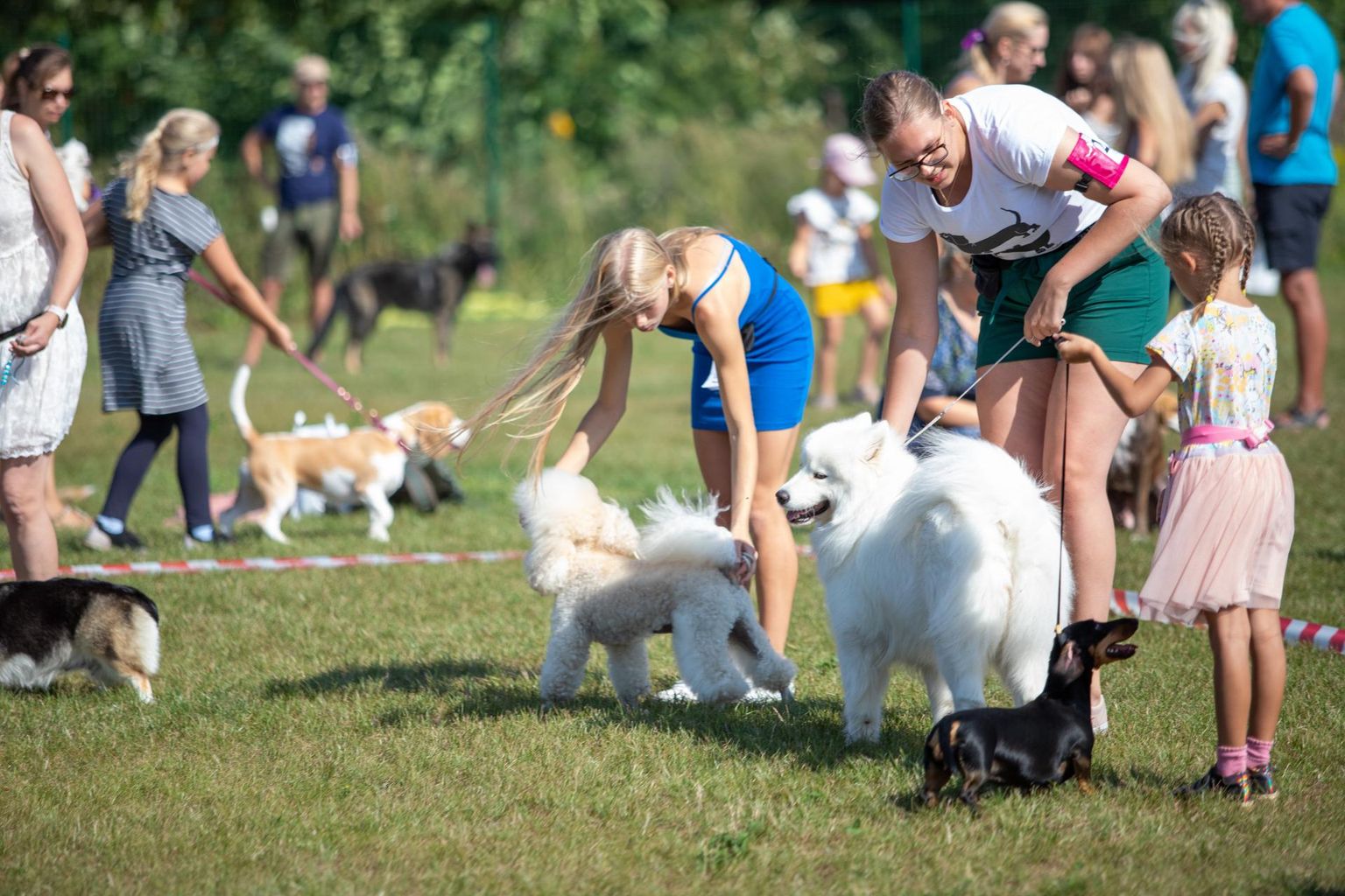 Laupäeval võeti Viljandis mõõtu viies võistlusklassis: kutsikad, alla põlve koerad, üle põlve koerad, veteranid ning segaverelised koerad.