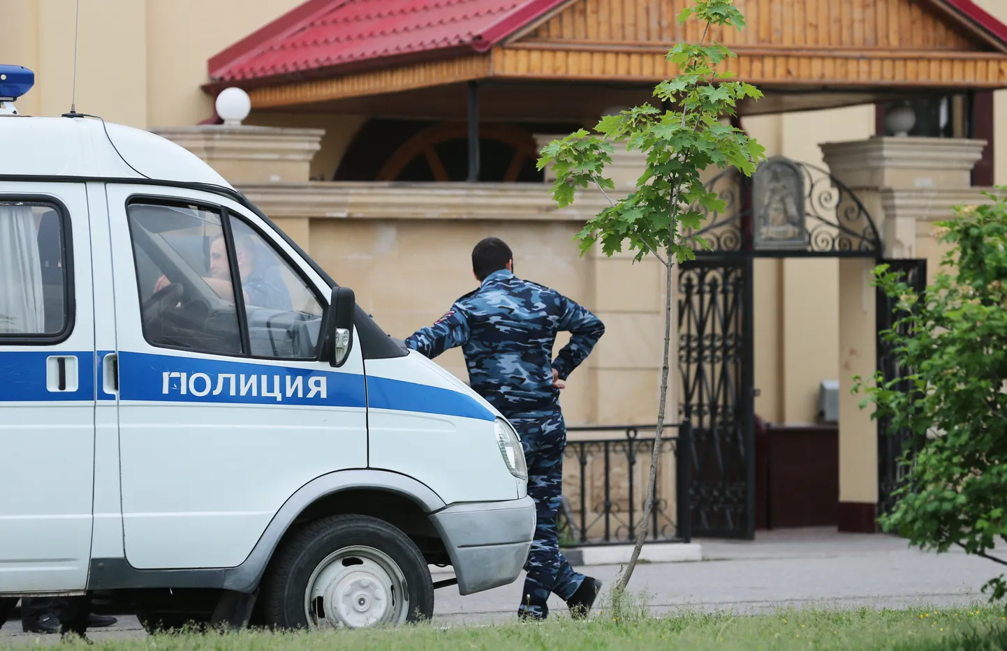 Фото статьи