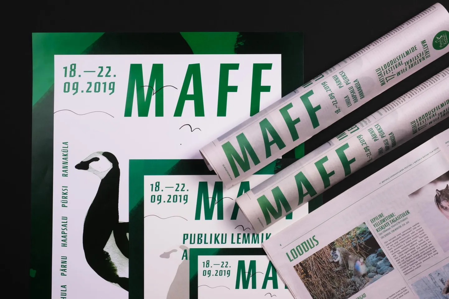 Matsalu loodusfilmide festival tuleb 18. korda.