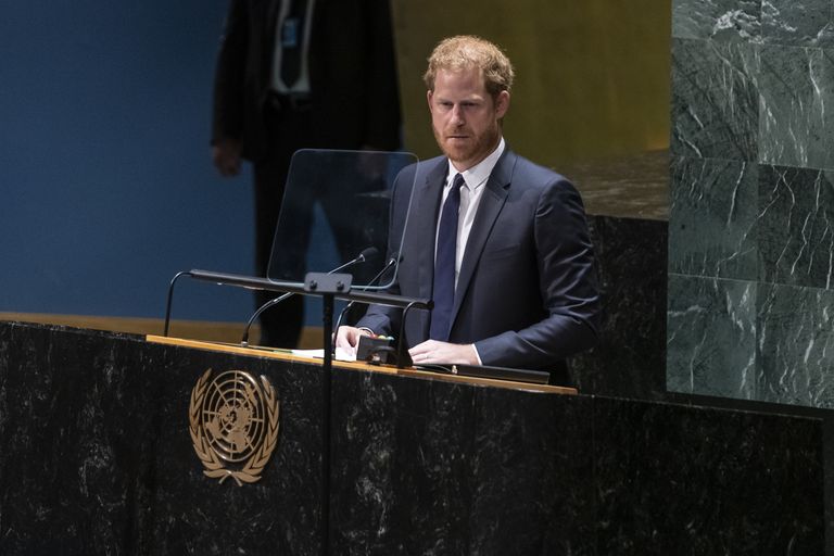 Принц Гарри на Ассамблее ООН в Нью-Йорке. 18 июля, 2022 года.