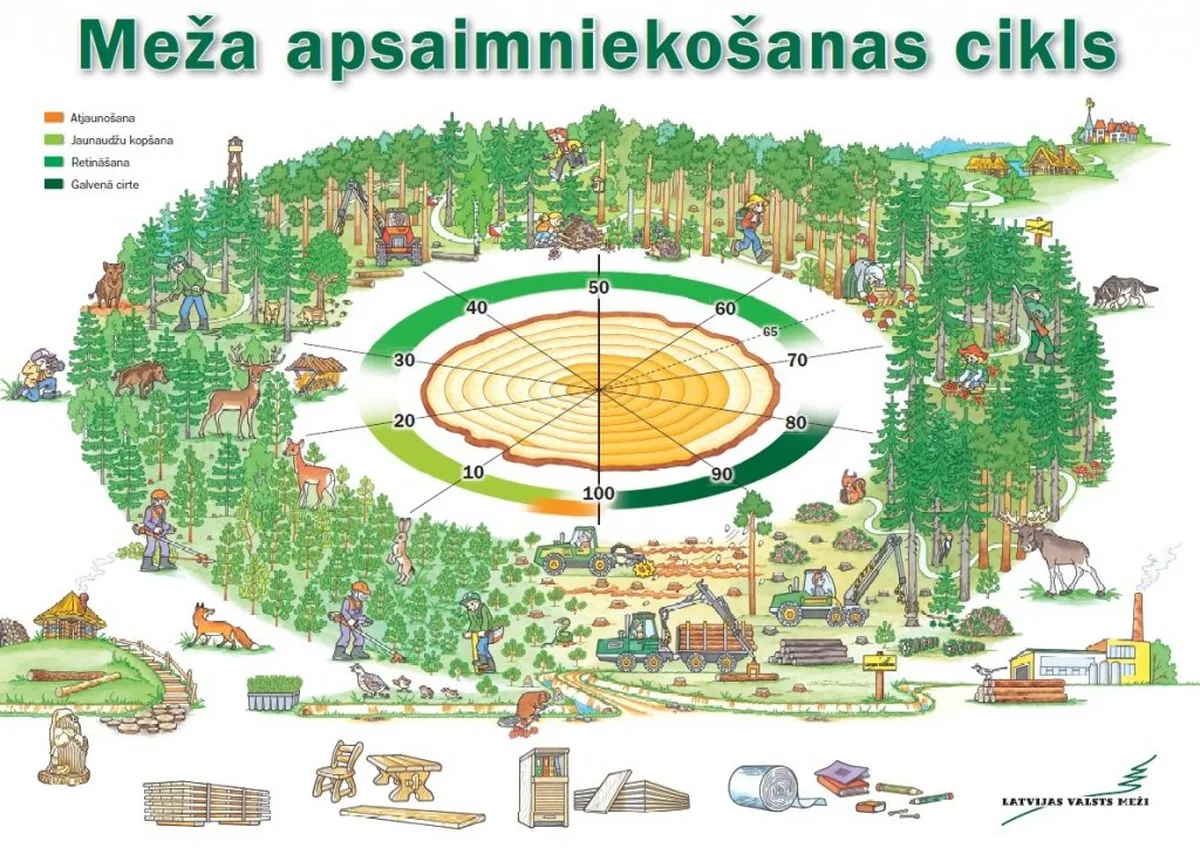 Raksta foto