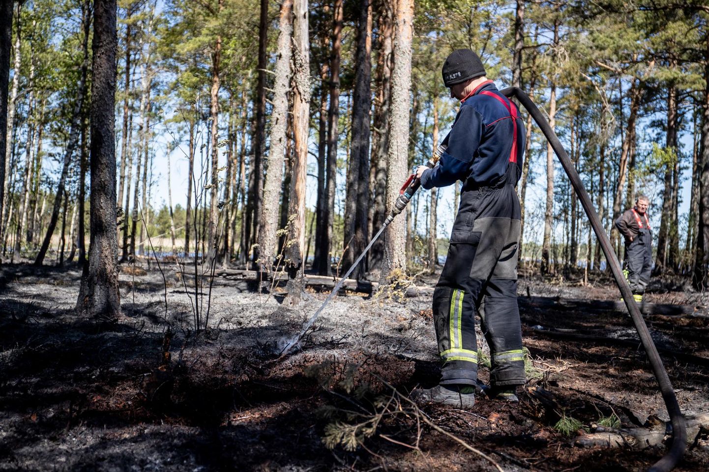 Самый большой в этом году лесной пожар произошел в последние выходные мая на болоте Клоога на 120 гектарах.
