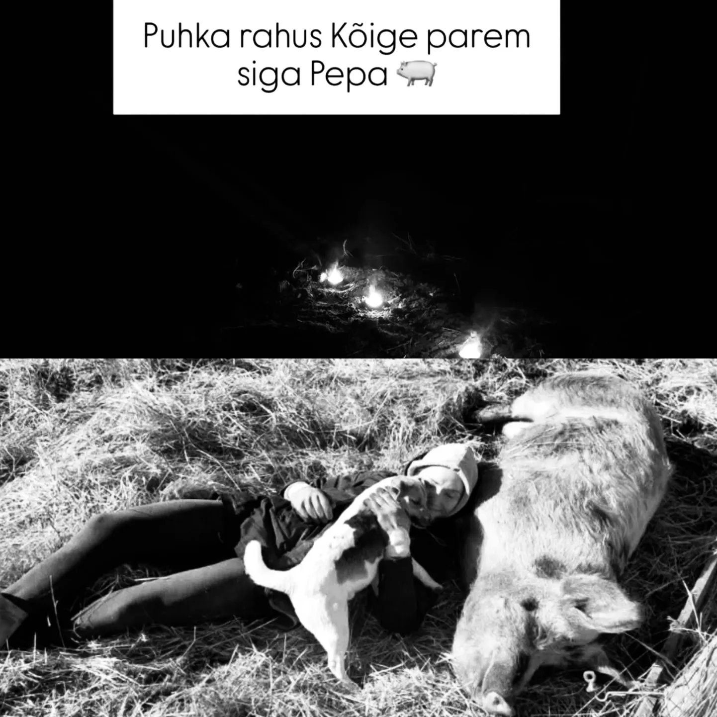 Saaremaa loomaaia siga Pepa koos loomaaia perenaise Mirge Argega