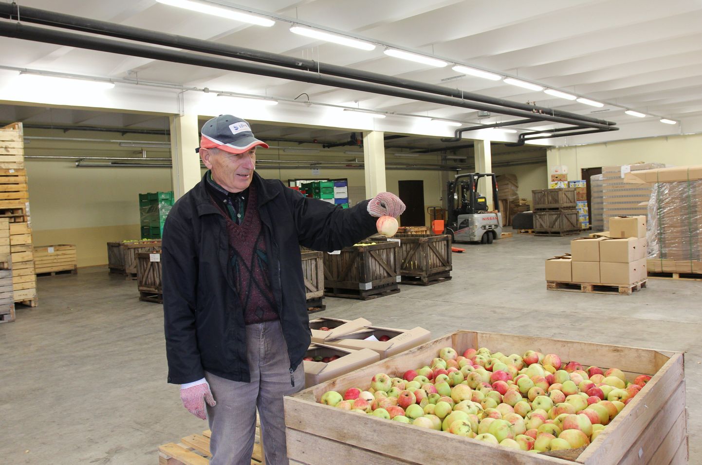 Polli aiandusuuringute keskuse vanemteadur Toivo Univer rõhutab, et õige hoiustamise korral on võimalik õunu säilitada üpris pikalt.
