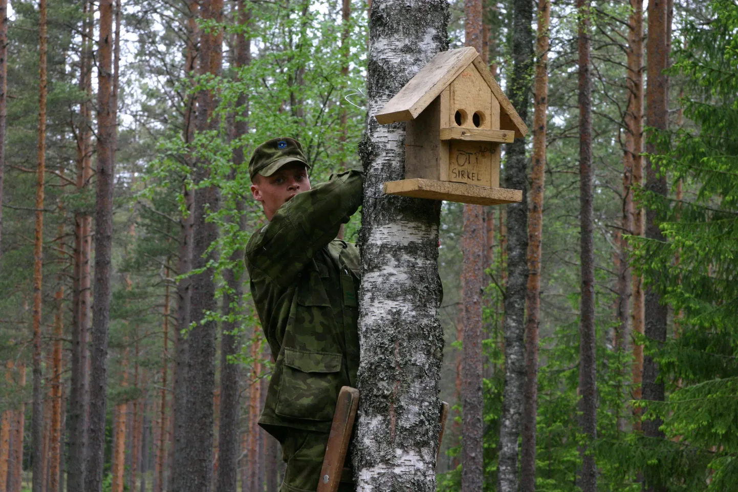 Eile pandi üles 40 uut pesakasti.