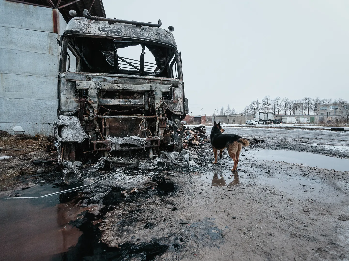 По оценке прокуратуры, наиболее частые причины тайного поджога автомобилей связаны с межличностными отношениями, хулиганством или желанием что-то скрыть. Этот снимок сгоревшей машины сделан в декабре 2017 года на стоянке грузовиков в Нарве, когда там подожгли фуру, груженую шоколадом.