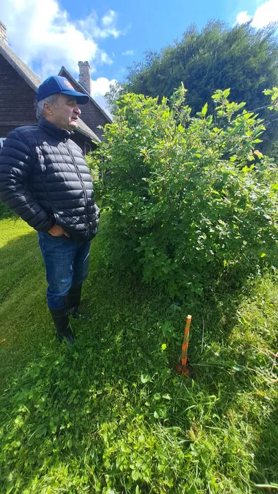 Naabrite piir hakkab kulgema läbi marjapõõsa ja selle taga oleva elupuu. Mati Hõimla selja taga on tema saun-suvemaja, mis jääb nüüd naabri maale.