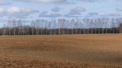 TUJURIKKUJA ⟩ Põhjast saabuv külm hoiab Eesti ilma jahedana ka uue nädala alguses