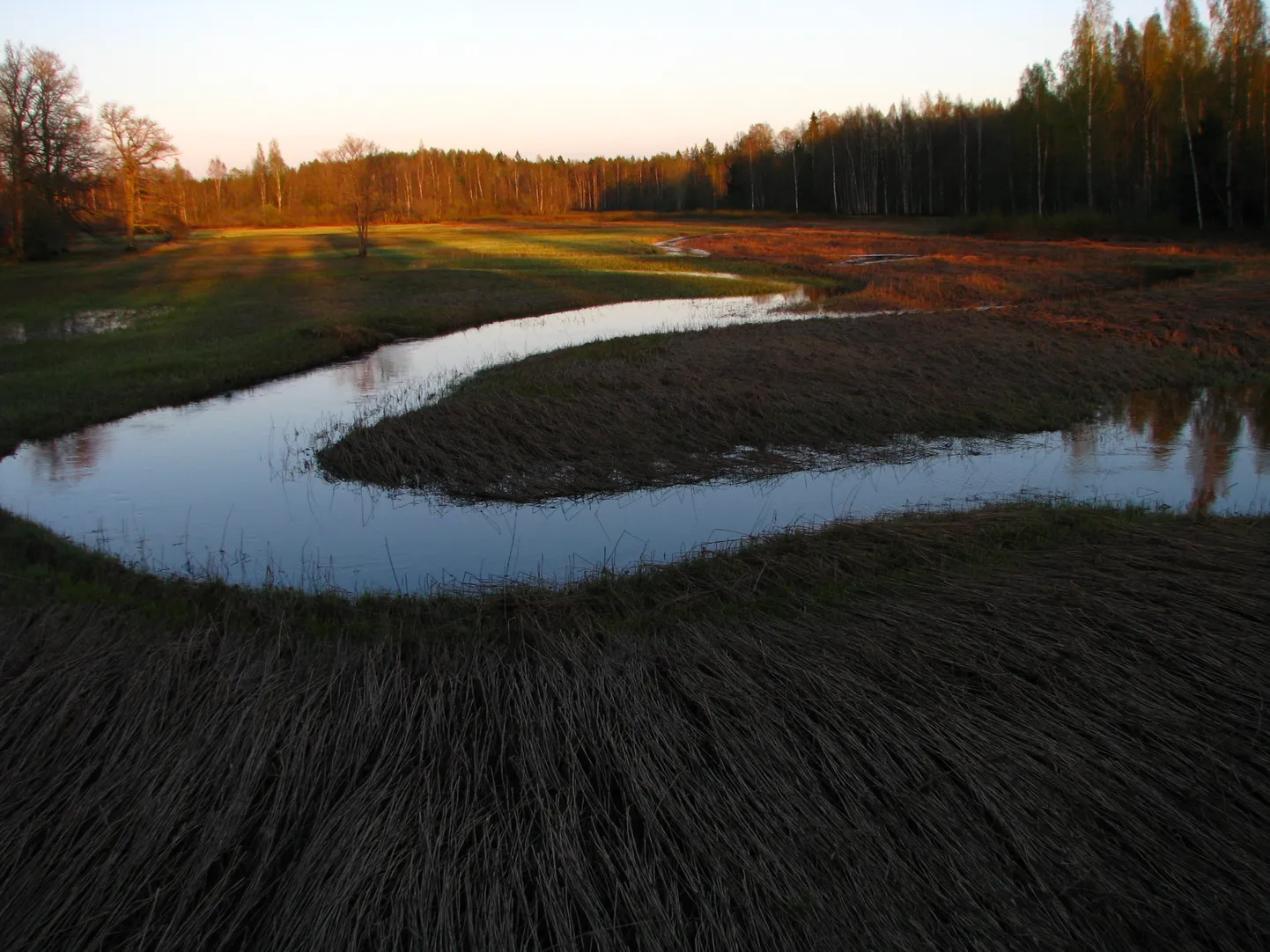 Kevadel on Lemmjõe kurvid kenasti vaadeldavad. Vaade Oksa sillalt.