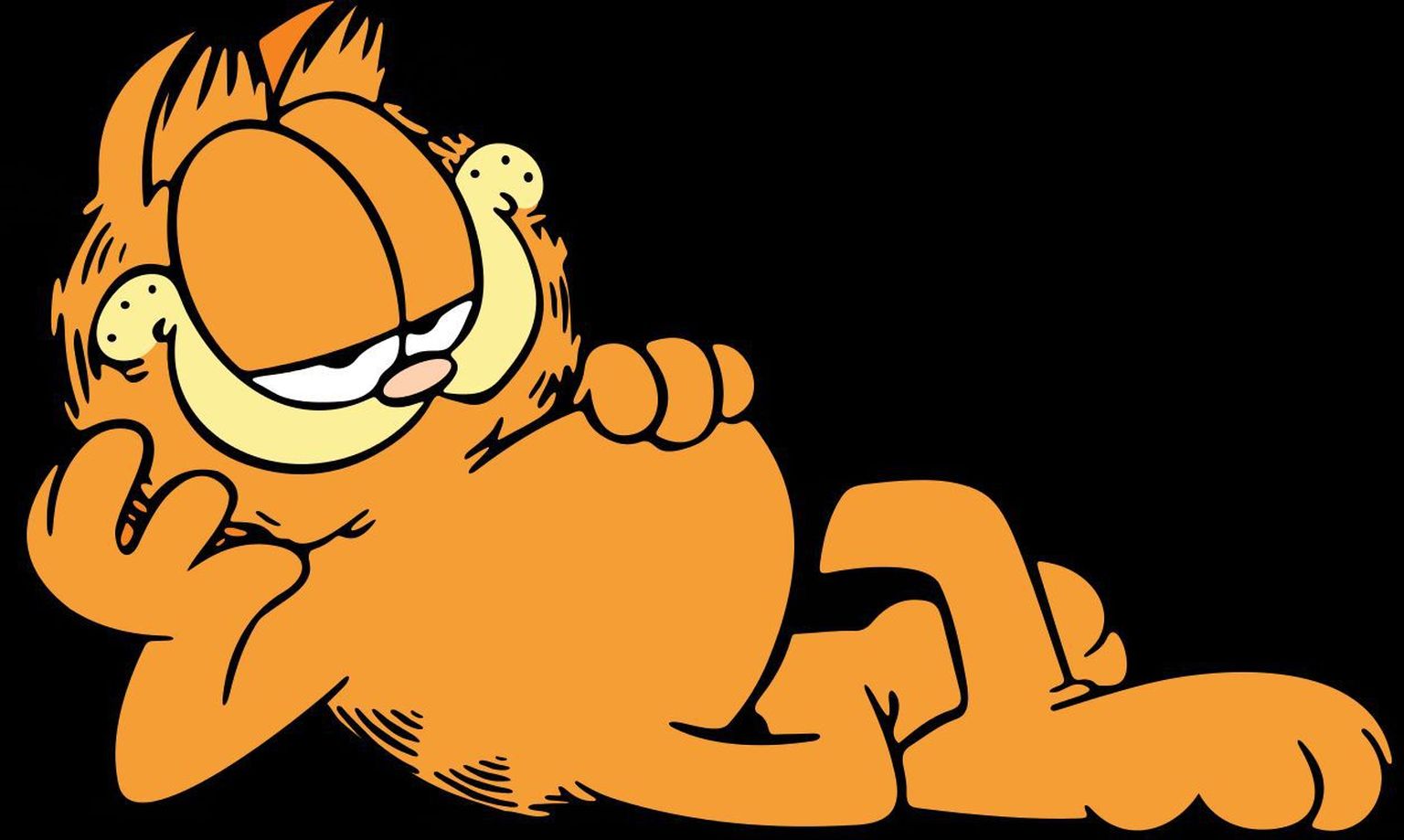 Anima- ja koomiksikass Garfield