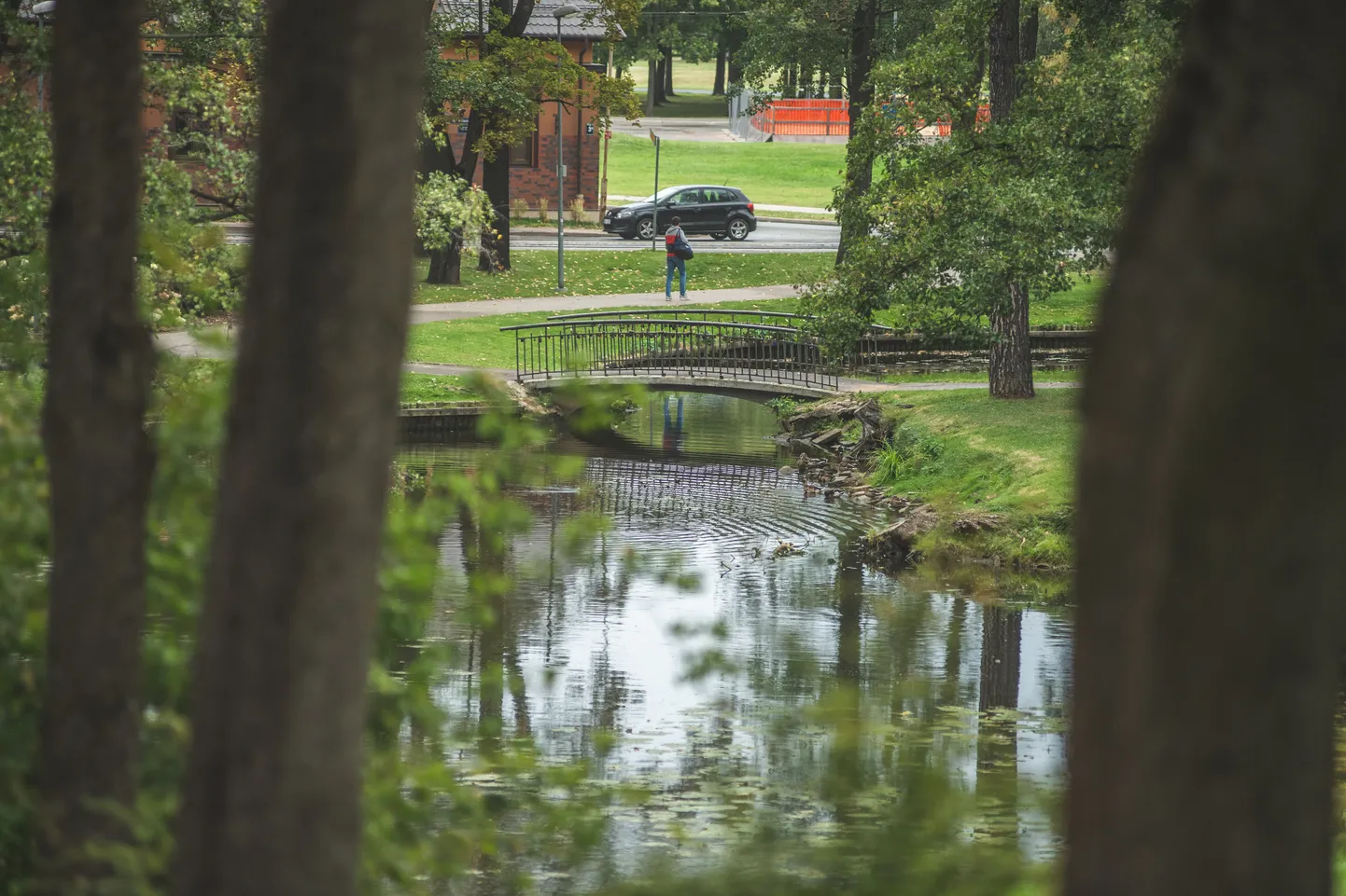 Arkādijas parks