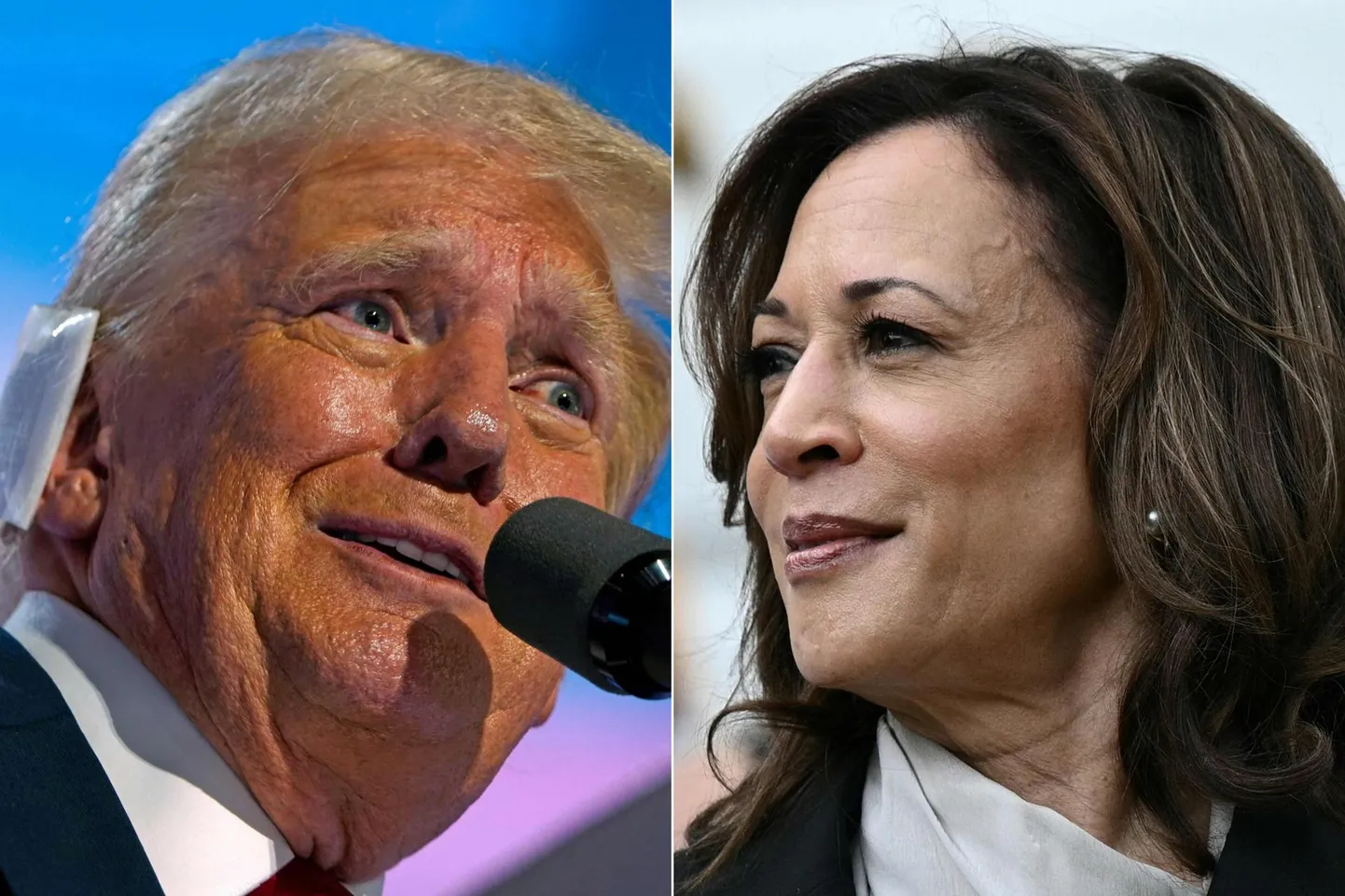Vabariikliku Partei presidendikandidaat Donald Trump 18. juulil 2024 vabariiklaste kongressil esinemas ja tõenäoline Demokraatliku Partei presidendikandidaat Kamala Harris 22. juulil 2024 Valge Maja vastuvõtul.