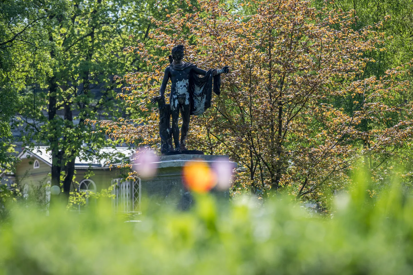 Kadrioru park