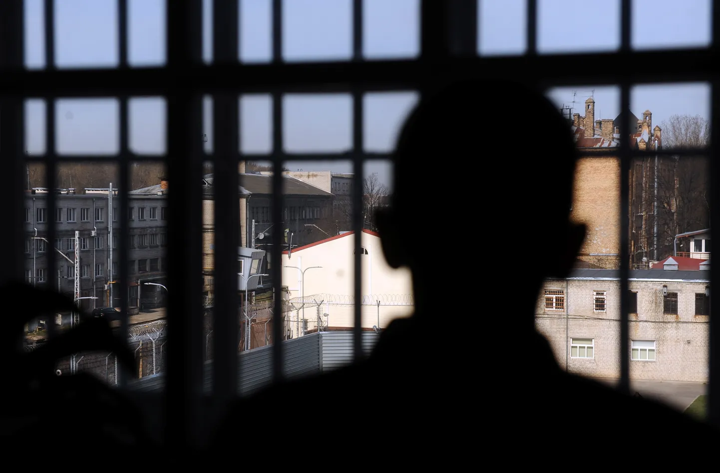 Raksta foto