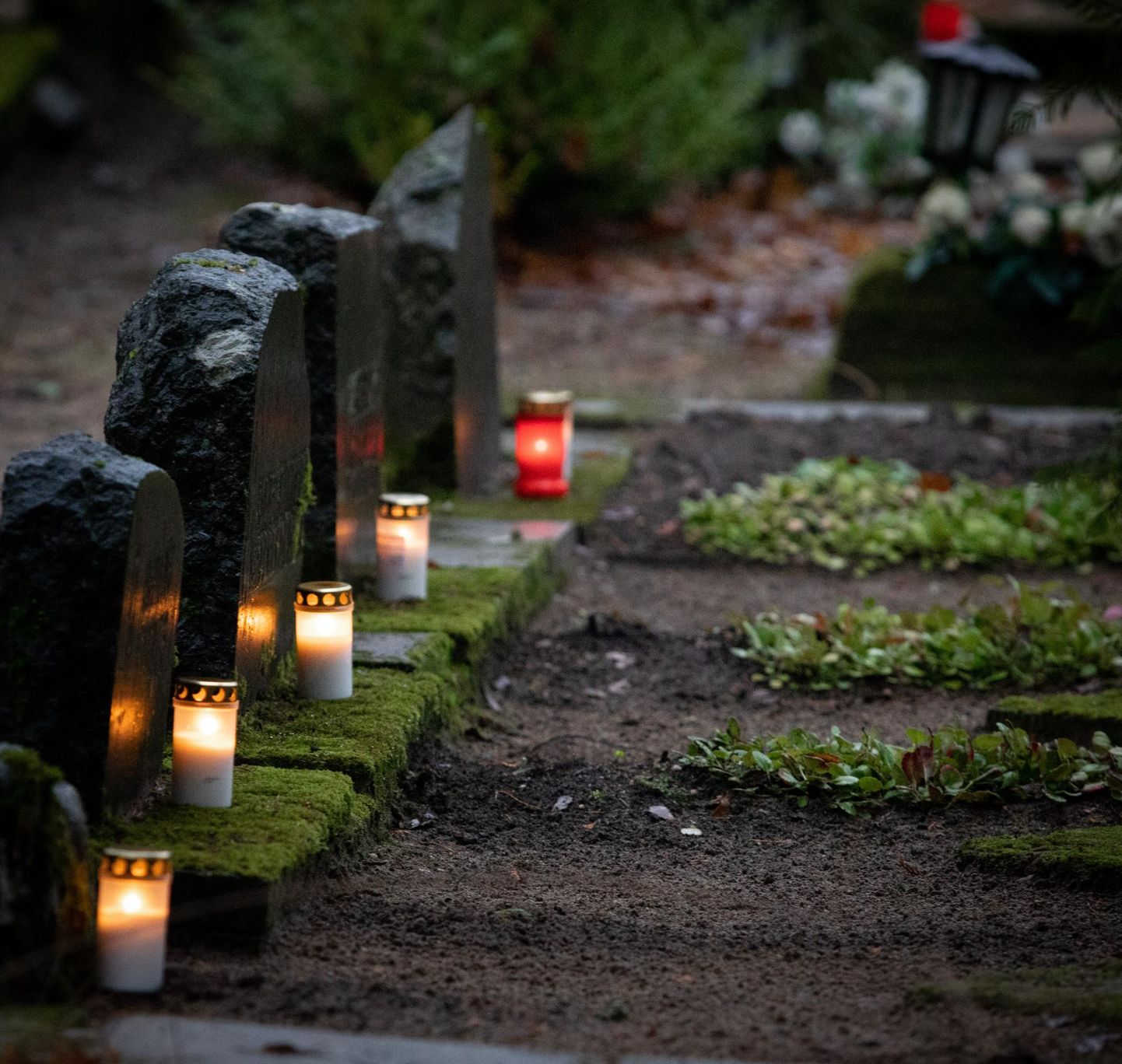 Leinaküünlad jõuluõhtul Pärnu kalmistu haudadel.