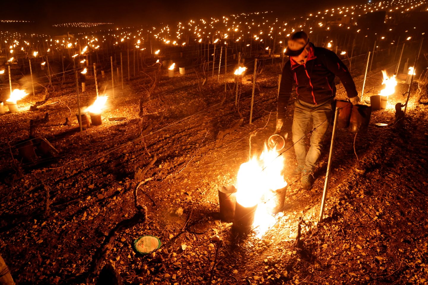 Prantsuse viinamarjakasvatajad süütasid istandustes tuhanded lõkked kaitsmaks taimi erakordse kevadkülma eest.