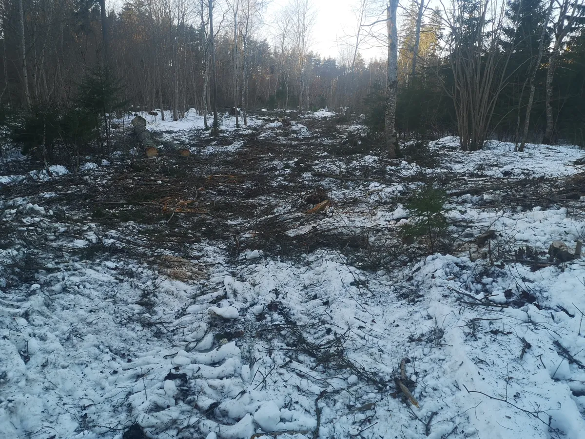 Siin jooksid läbi peened looklevad rajad ja ei näinud kaugemale, kui oma nina ette.