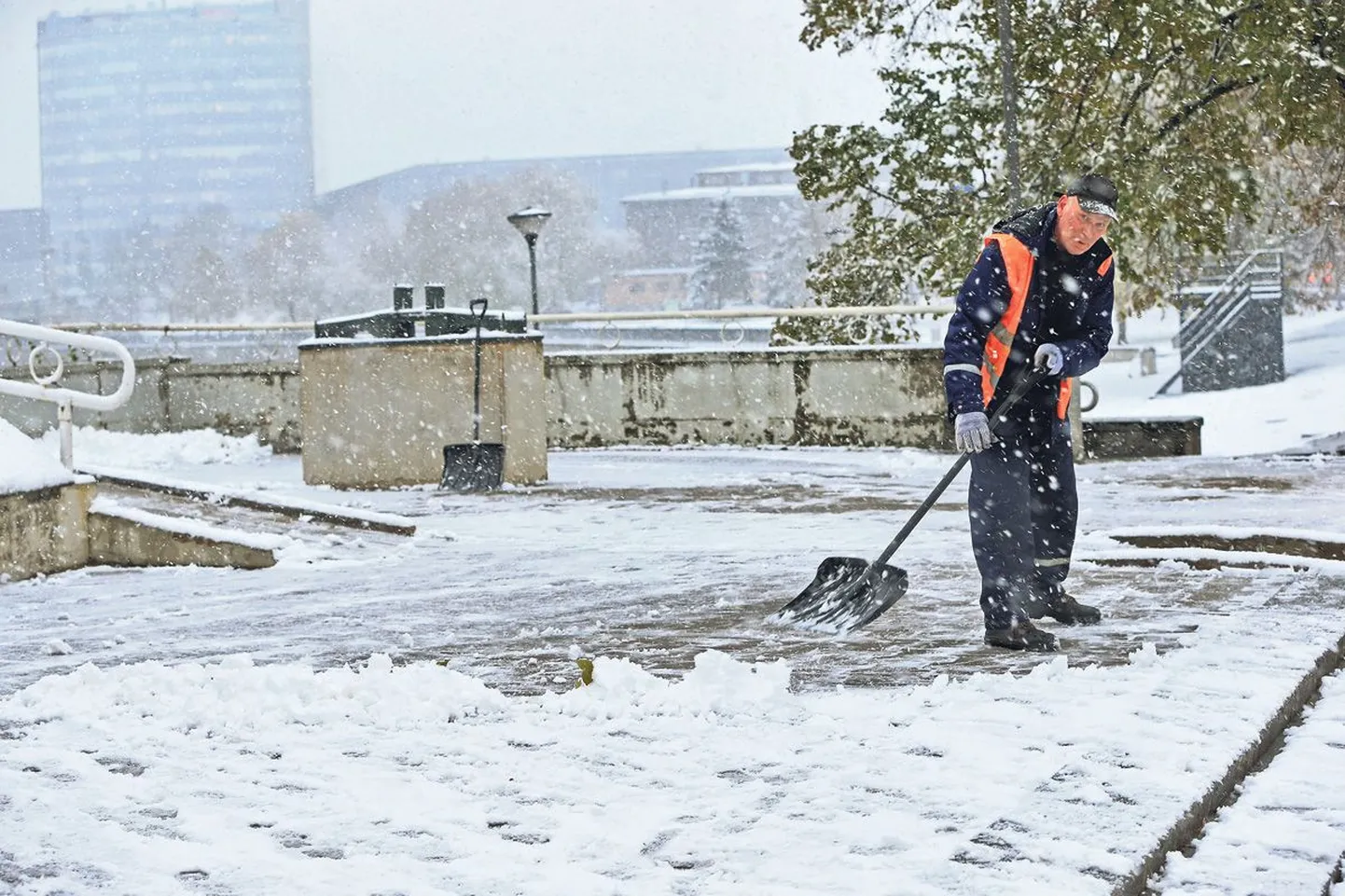 Kuigi suurt talve enne novembri lõppu ei ennustata, tuletas eilne esimene lumi kojameestele meelde, et luuad ja lumelabidad on paslik juba välja otsida.