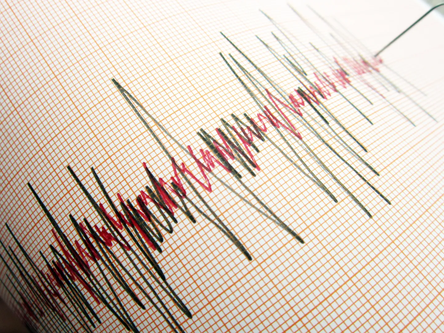 Seismograaf registreerib maavärinaid.