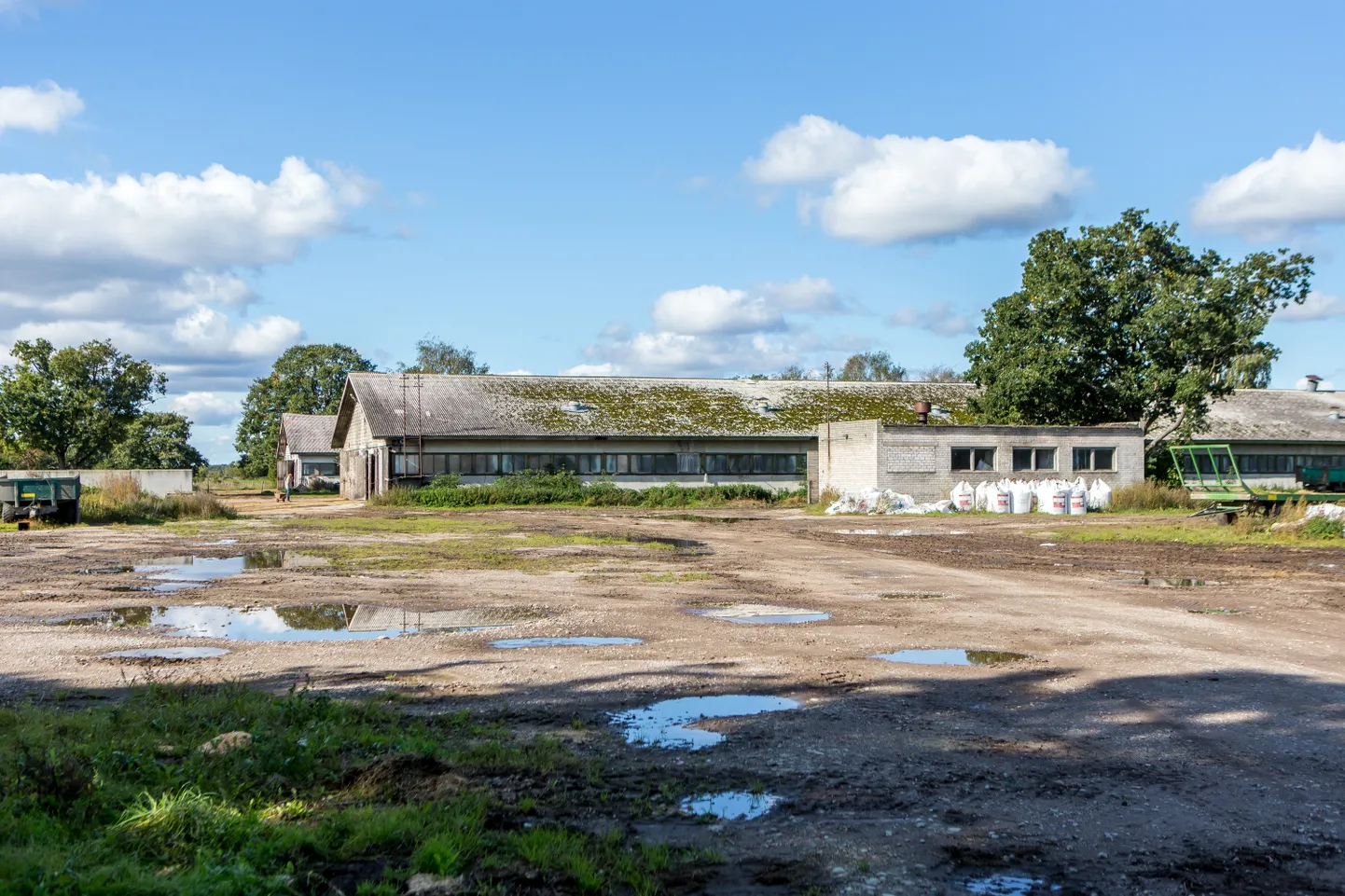 PEREFIRMADE SIHIKUL: Mereranna ühistu pole erinevalt mitmest teisest Saaremaa suurtootjast suutnud endale uut lauta ehitada.