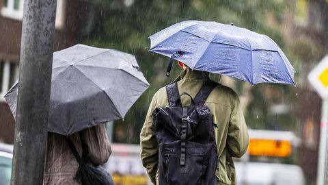 Arī trešdien Latvijā daudzviet gaidāms lietus