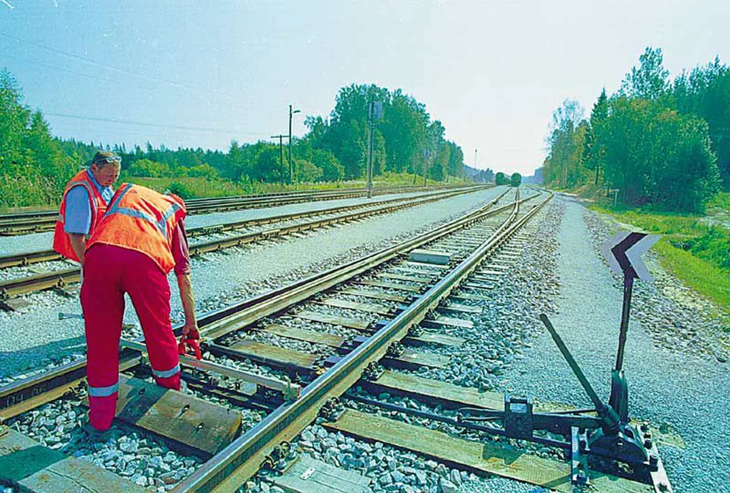 Artikli foto