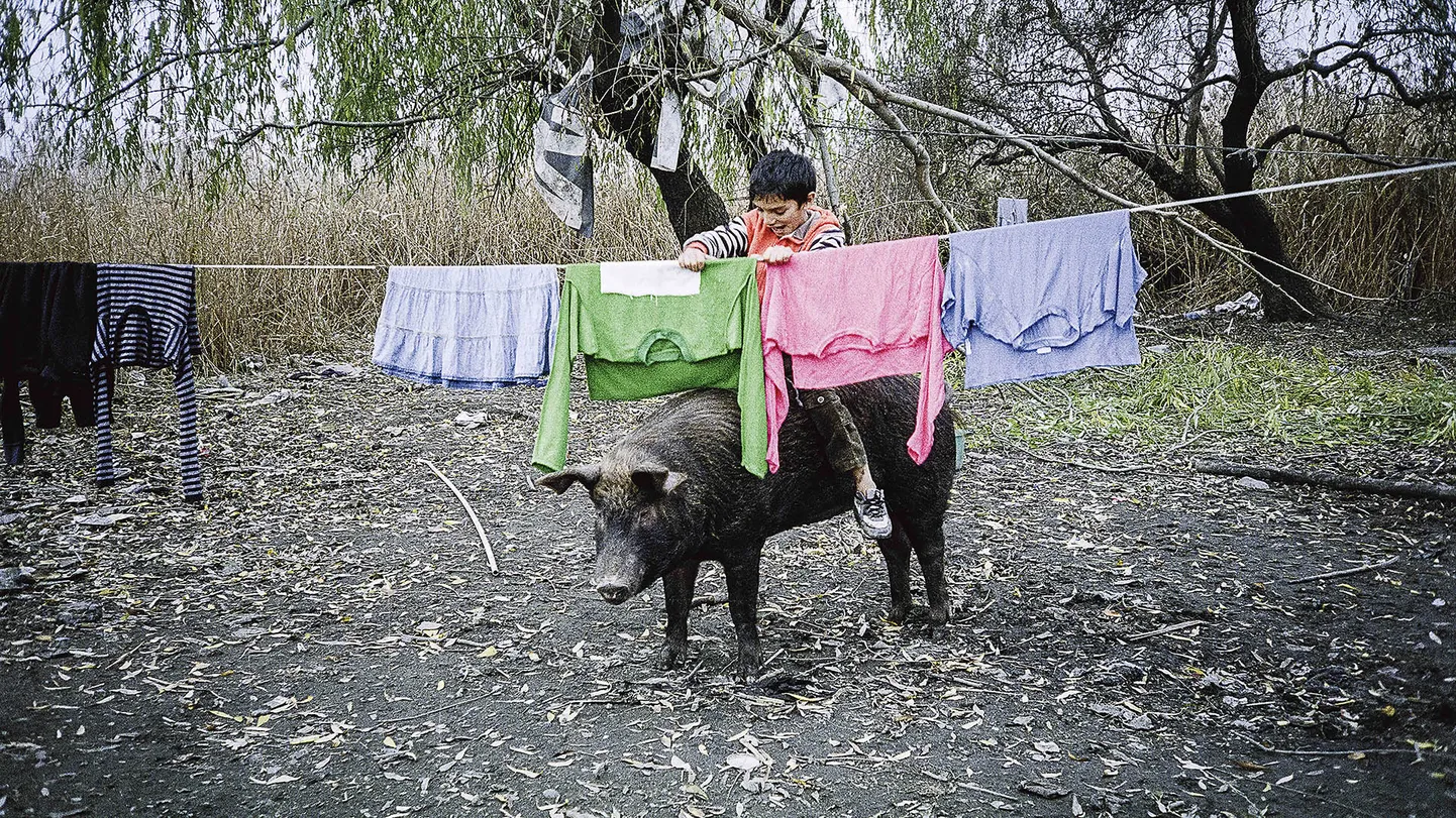 «Acasă, mu kodu»