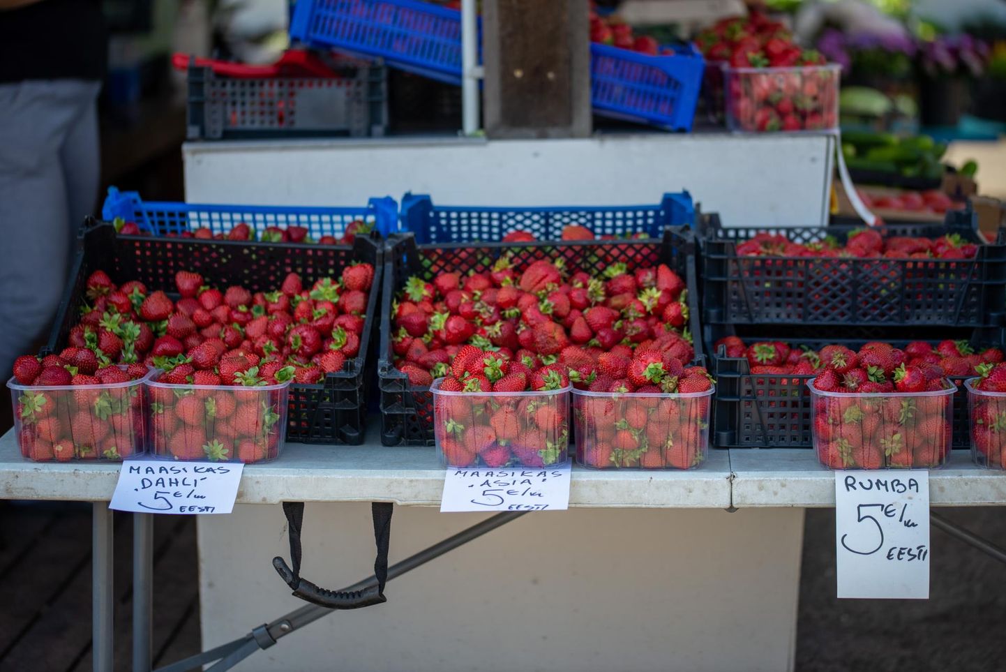 Nädala alguses oli valitsev maasikate kilohind turul 5 eurot.