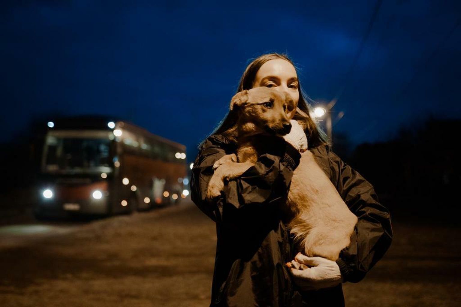 Tofik, üks Ukrainast välja aidatud koertest, Ukraina-Poola piiril päästeoperatsiooni vabatahtliku süles.