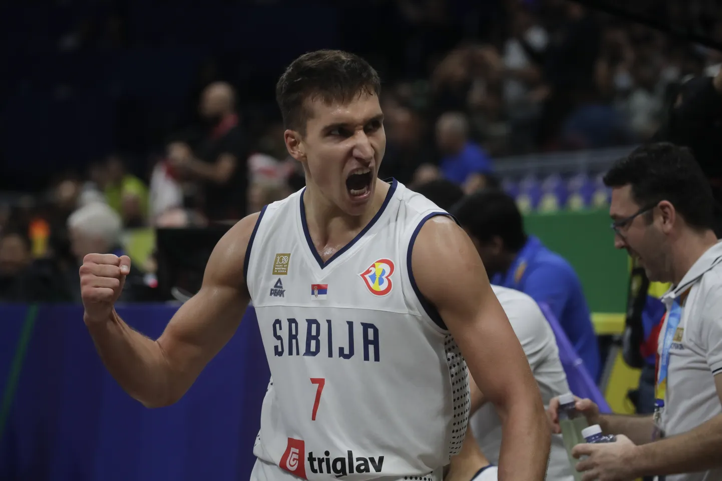 Bogdan Bogdanović MMil.