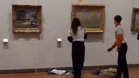 VIDEO ⟩ Aktivistid pildusid Lyoni muuseumis supiga Monet' maali