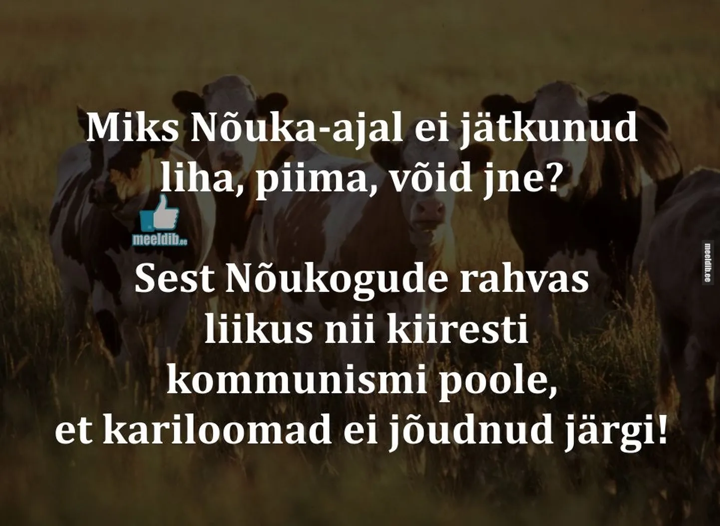 Artikli foto
