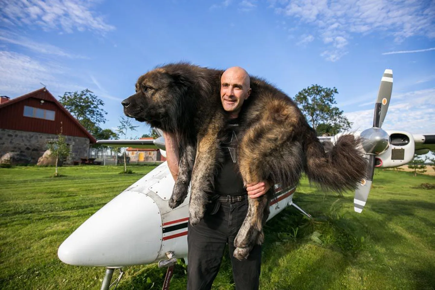 Igaühel omad hobid. Kes käib koeraga metsas jalutamas, kes jahiga merel. Jaano Rässa käib koeraga lendamas.