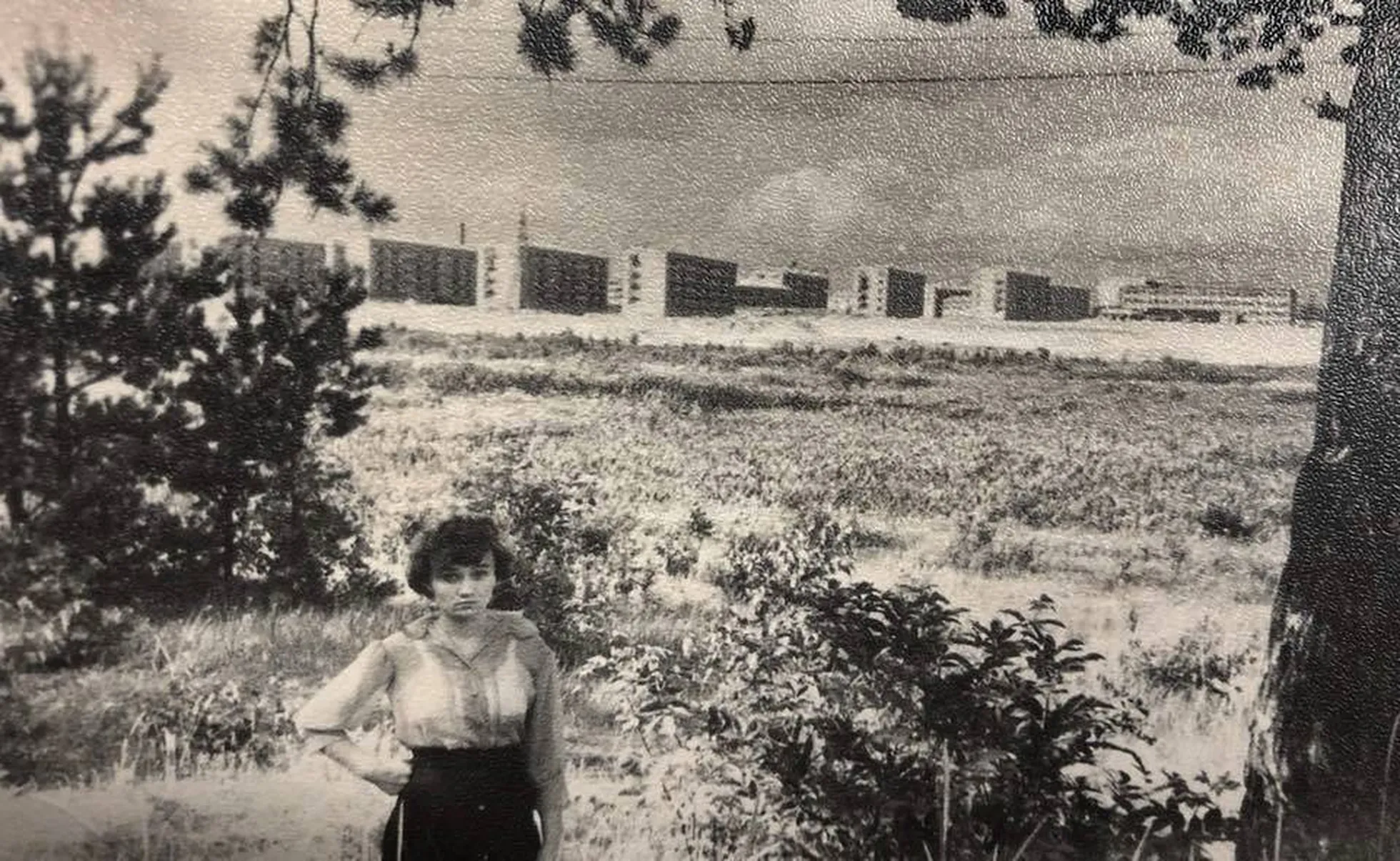 Заросшее озеро Губище в начале 1960-х. Химия — впереди. Справа — 11-я школа.